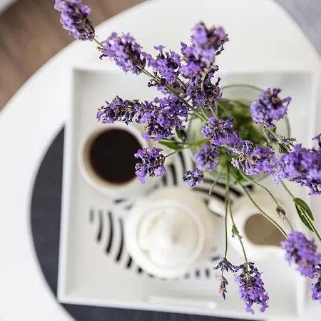 Apartment Lavender Ocean Sea View Balcony Parking